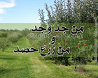 غلاف: من جد وجد ومن زرع حصد