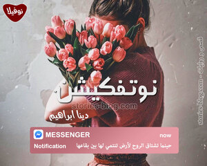نوفيلا نوتفكيشن للكاتبة دينا ابراهيم كاملة